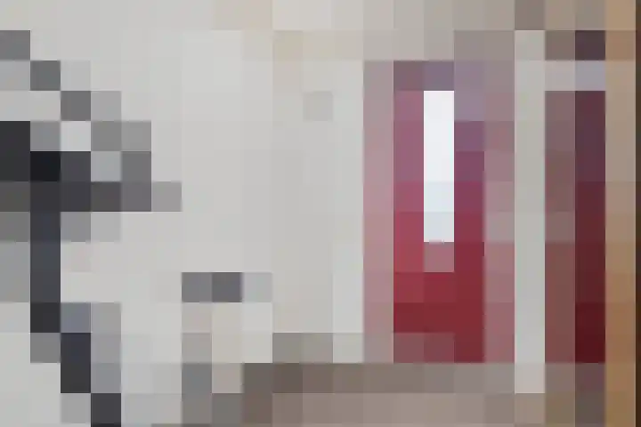 Kogge 2 Brielle thumbnail 17