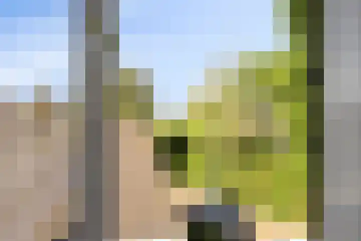 Kogge 2 Brielle thumbnail 21