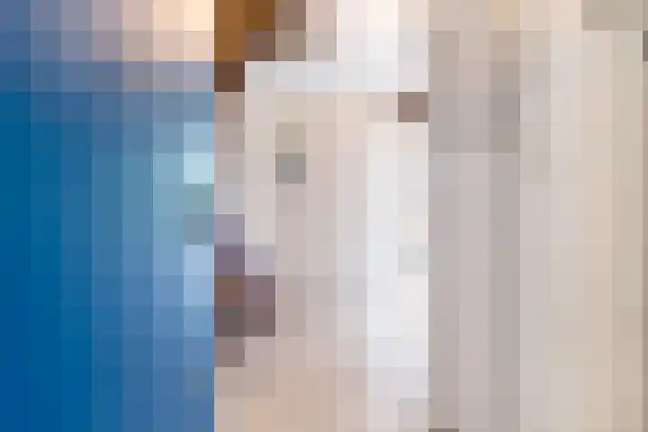 Kogge 2 Brielle thumbnail 26