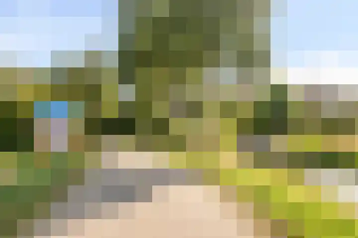 Kogge 2 Brielle thumbnail 38