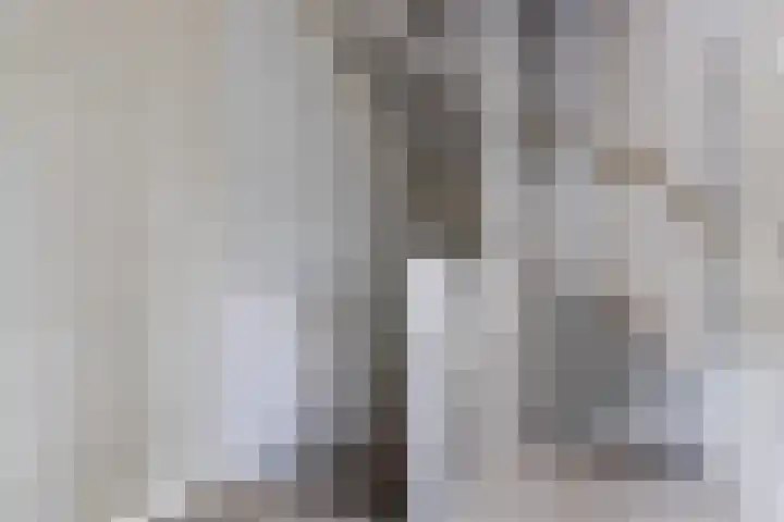 Kogge 2 Brielle thumbnail 8