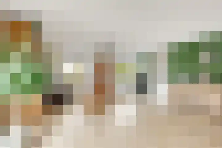 Kogge 20 Nijkerk thumbnail 14