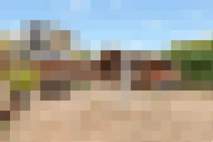 Kogge 20 Nijkerk thumbnail 26