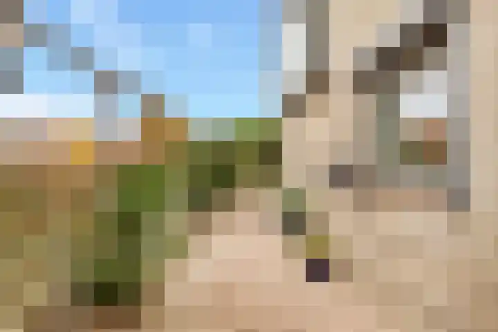 Kogge 20 Nijkerk thumbnail 28