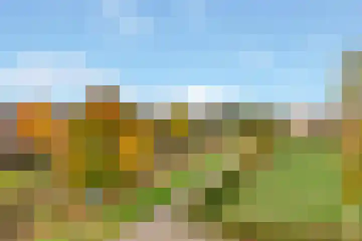 Kogge 20 Nijkerk thumbnail 30