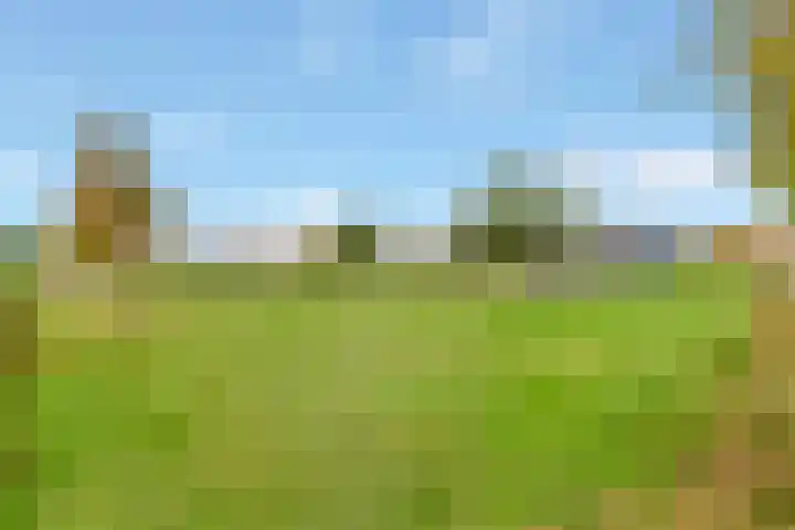 Kogge 20 Nijkerk thumbnail 32