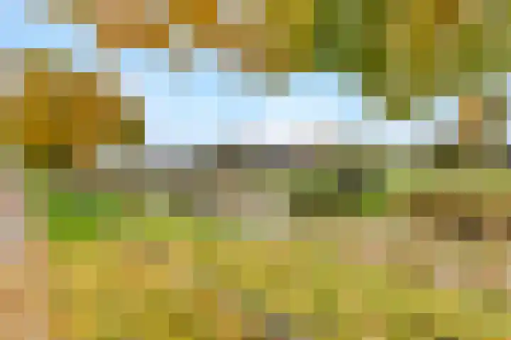 Kogge 20 Nijkerk thumbnail 33