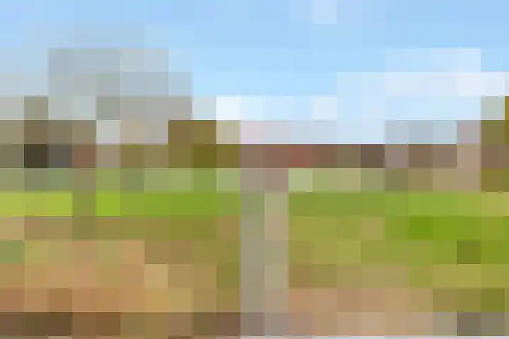 Kogge 20 Nijkerk thumbnail 34
