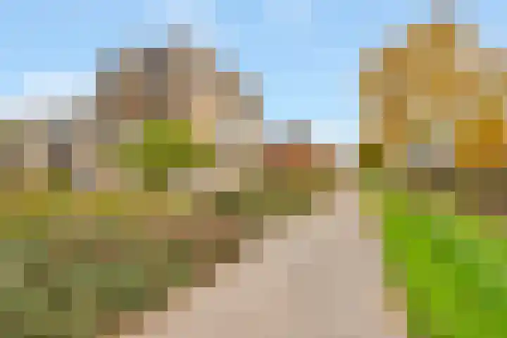 Kogge 20 Nijkerk thumbnail 35