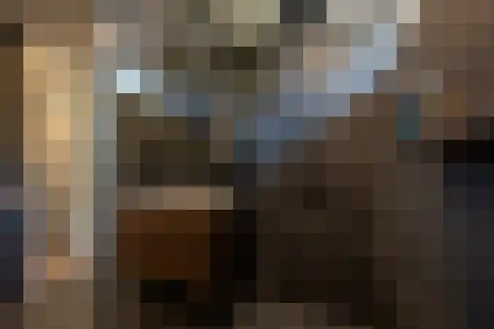 Kogge 22 Barendrecht thumbnail 31