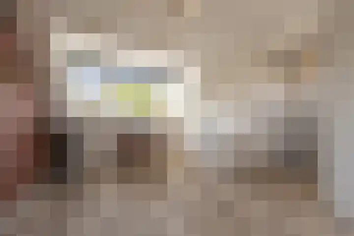Kogge 22 Barendrecht thumbnail 33