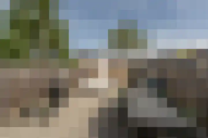 Kogge 22 Barendrecht thumbnail 36