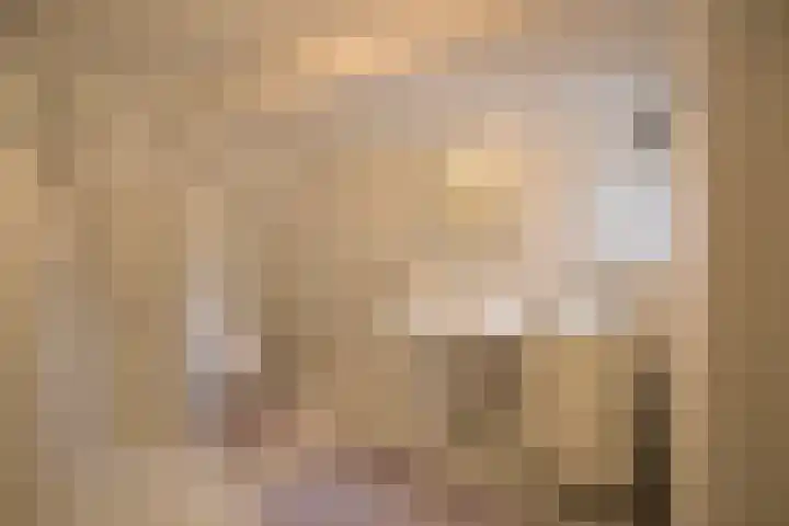 Kogge 26 Blaricum thumbnail 13