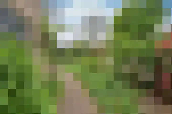 Kogge 26 Blaricum thumbnail 15