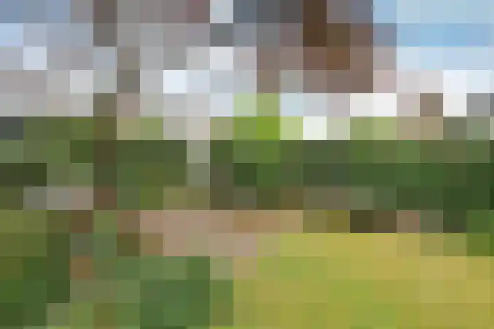 Kogge 26 Blaricum thumbnail 17