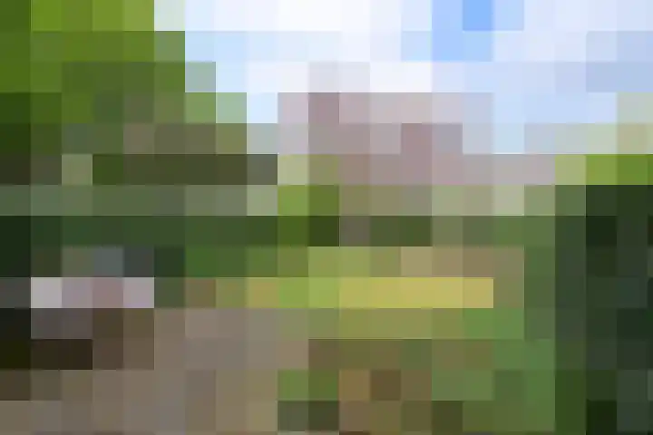 Kogge 26 Blaricum thumbnail 18