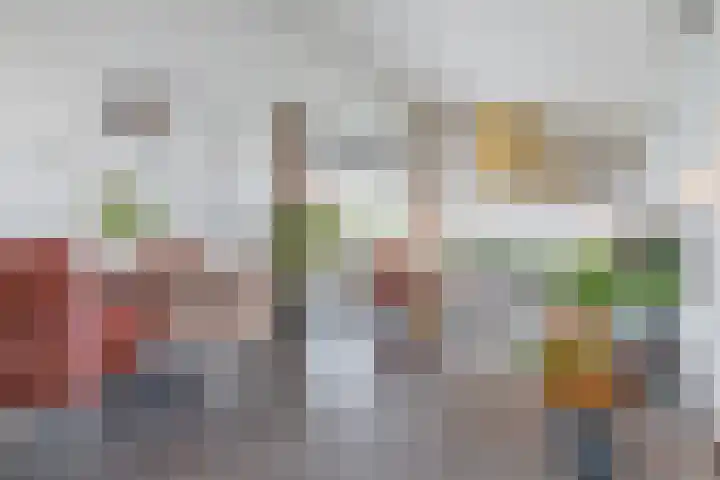 Kogge 5 Bergen op Zoom thumbnail 17