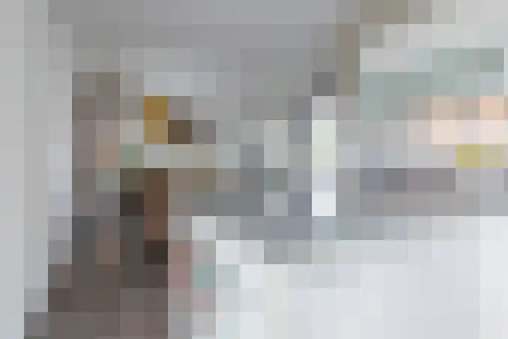 Kogge 5 Bergen op Zoom thumbnail 20
