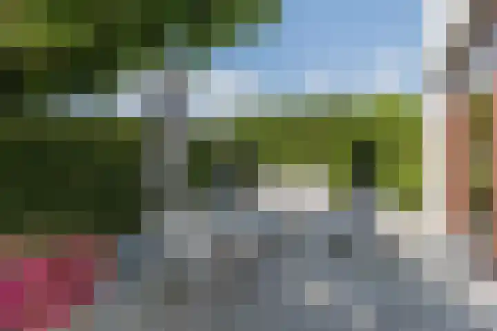Kogge 5 Bergen op Zoom thumbnail 46