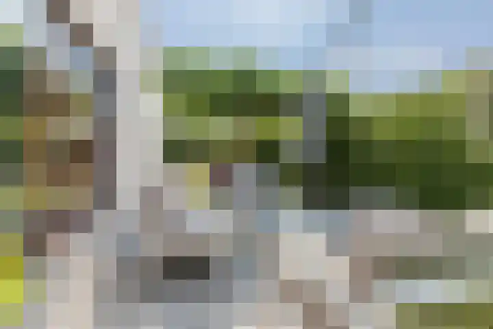 Kogge 5 Bergen op Zoom thumbnail 47