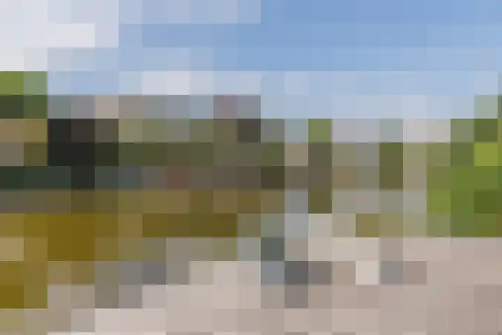 Kogge 5 Bergen op Zoom thumbnail 5