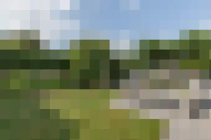 Kogge 5 Bergen op Zoom thumbnail 50