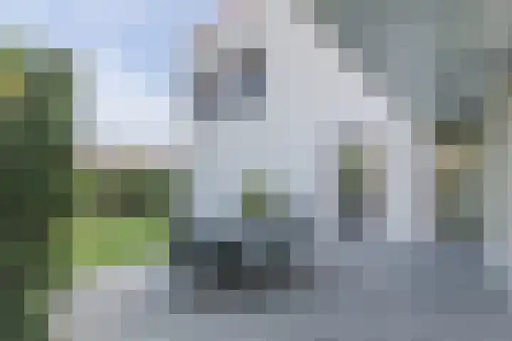 Kogge 5 Bergen op Zoom thumbnail 52