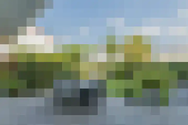 Kogge 5 Bergen op Zoom thumbnail 53