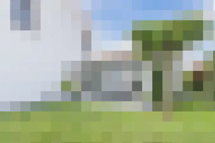 Kogge 5 Bergen op Zoom thumbnail 54