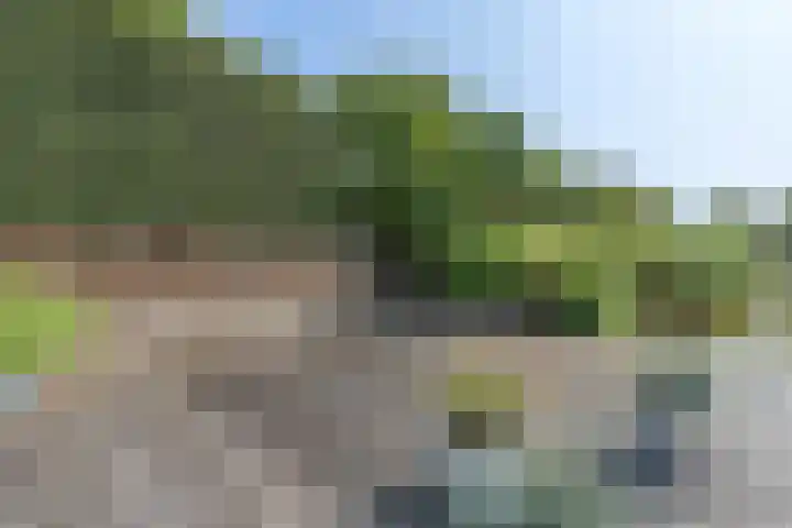 Kogge 5 Bergen op Zoom thumbnail 58