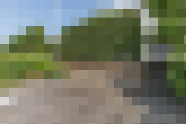 Kogge 5 Bergen op Zoom thumbnail 59