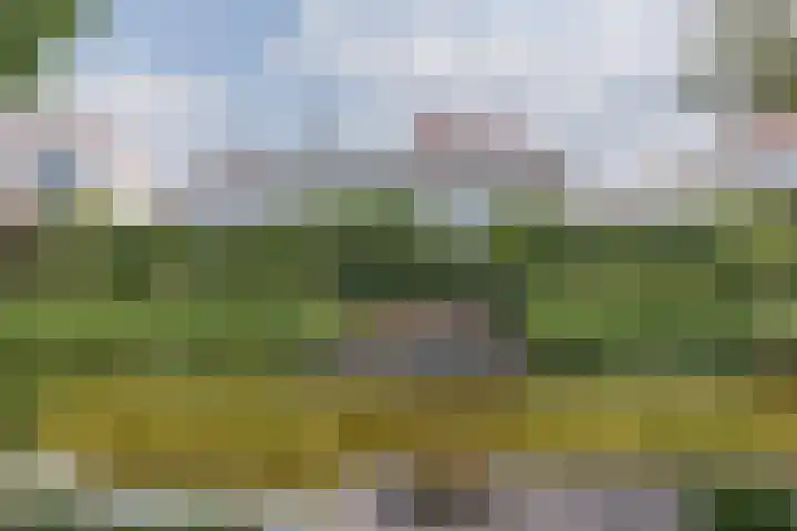 Kogge 5 Bergen op Zoom thumbnail 60