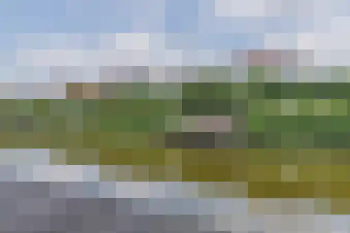 Kogge 5 Bergen op Zoom thumbnail 61