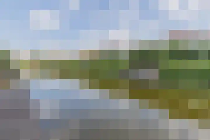 Kogge 5 Bergen op Zoom thumbnail 62