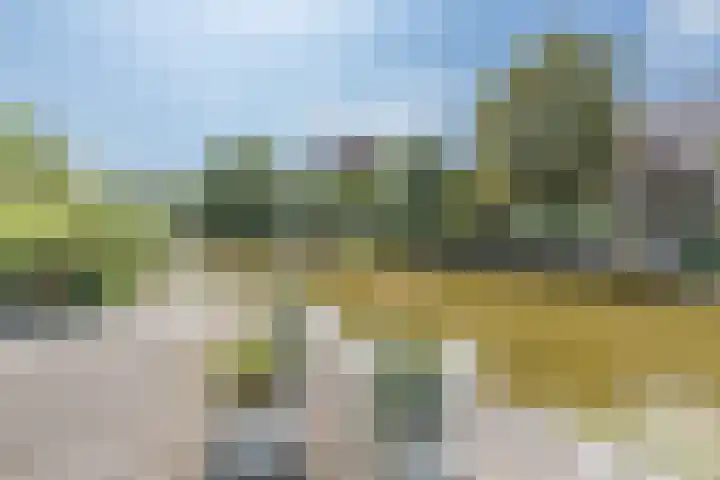 Kogge 5 Bergen op Zoom thumbnail 63