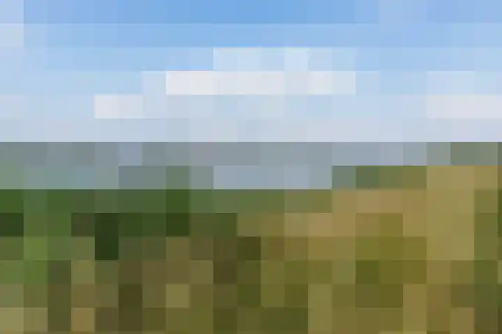 Kogge 5 Bergen op Zoom thumbnail 70