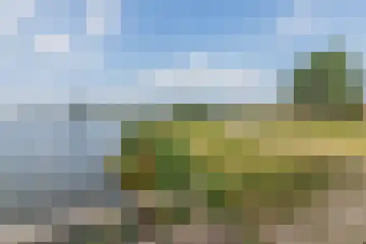 Kogge 5 Bergen op Zoom thumbnail 72