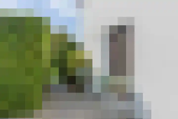 Kogge 5 Bergen op Zoom thumbnail 8