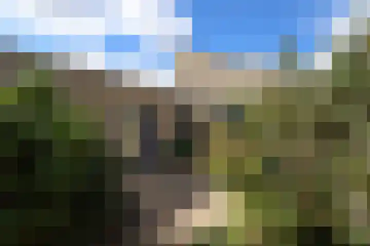 Kogge 52 Brielle thumbnail 37