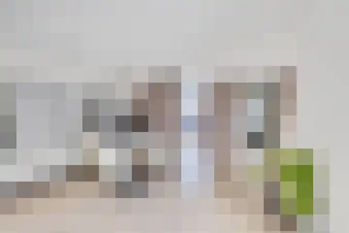 Kogge 68 Brielle thumbnail 14