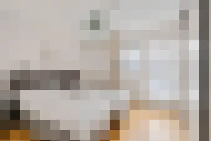 Kogge 68 Brielle thumbnail 18