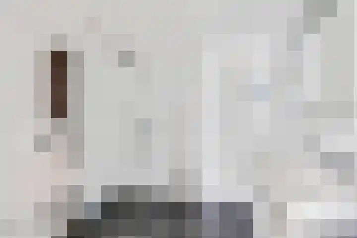 Kogge 68 Brielle thumbnail 19