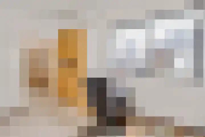 Kogge 68 Brielle thumbnail 22