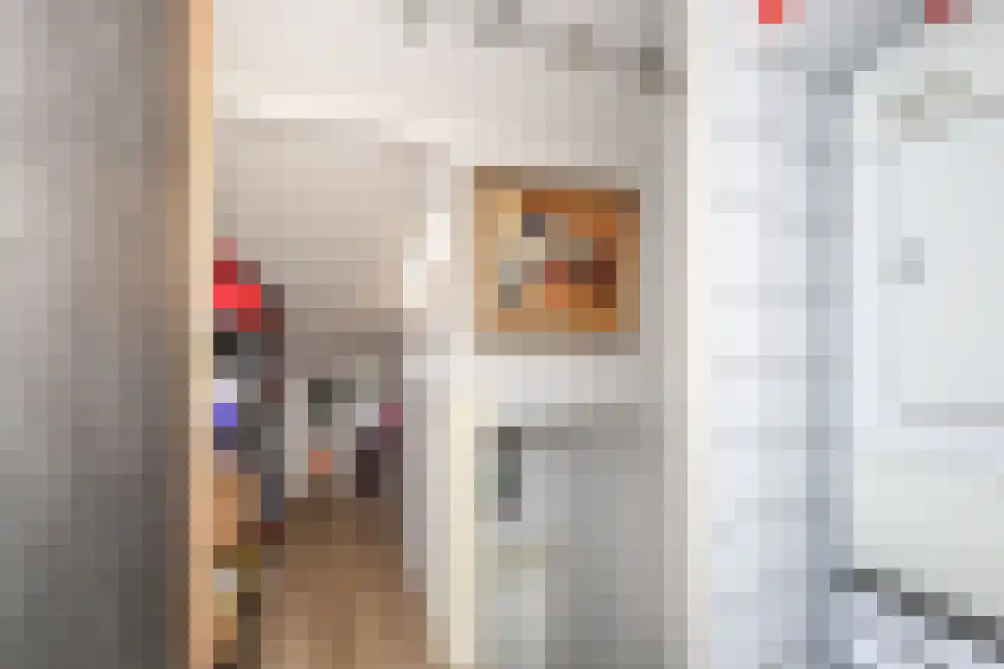 Kogge 69 Brielle thumbnail 40