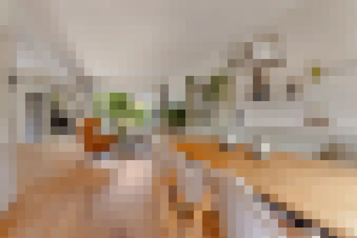 Kogge 7 Blaricum thumbnail 13