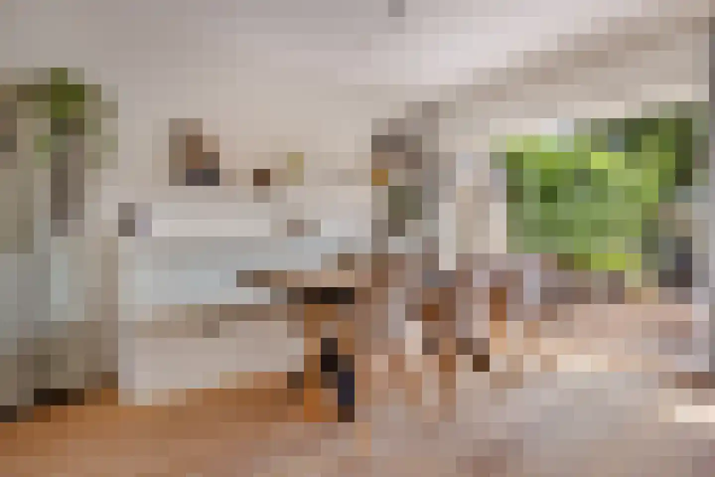 Kogge 7 Blaricum thumbnail 14