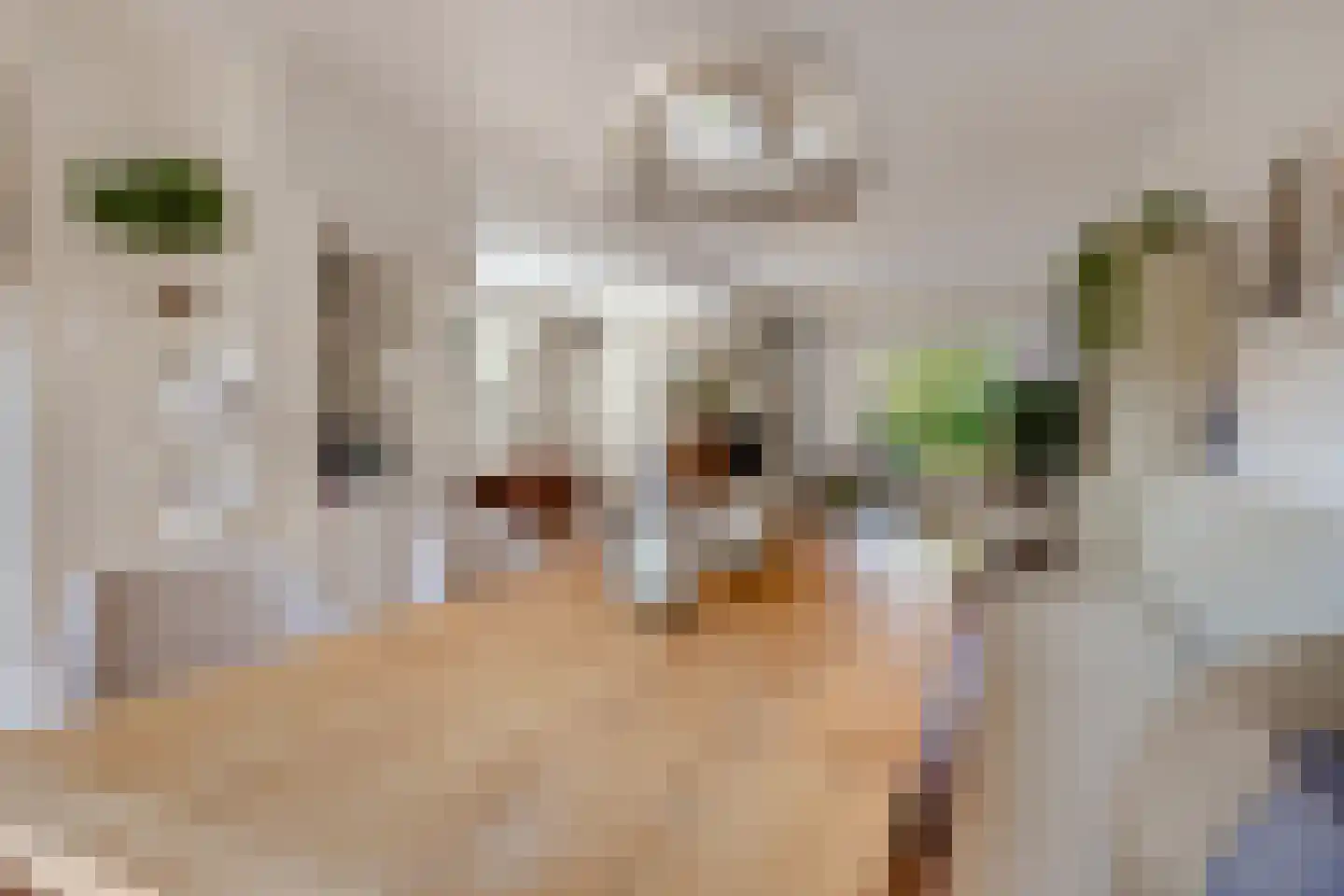 Kogge 7 Blaricum thumbnail 15