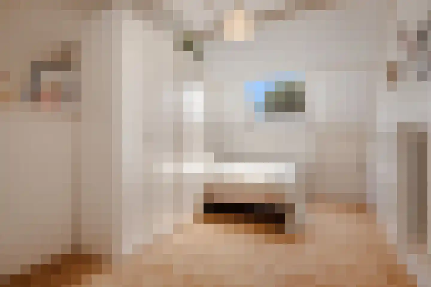 Kogge 7 Blaricum thumbnail 29
