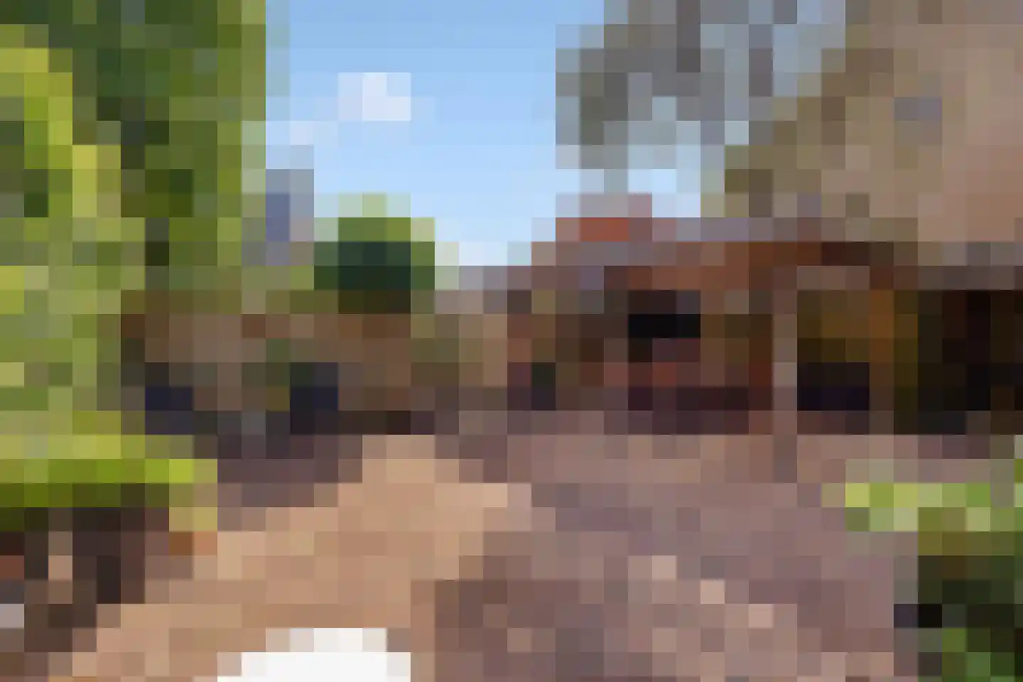 Kogge 7 Blaricum thumbnail 32