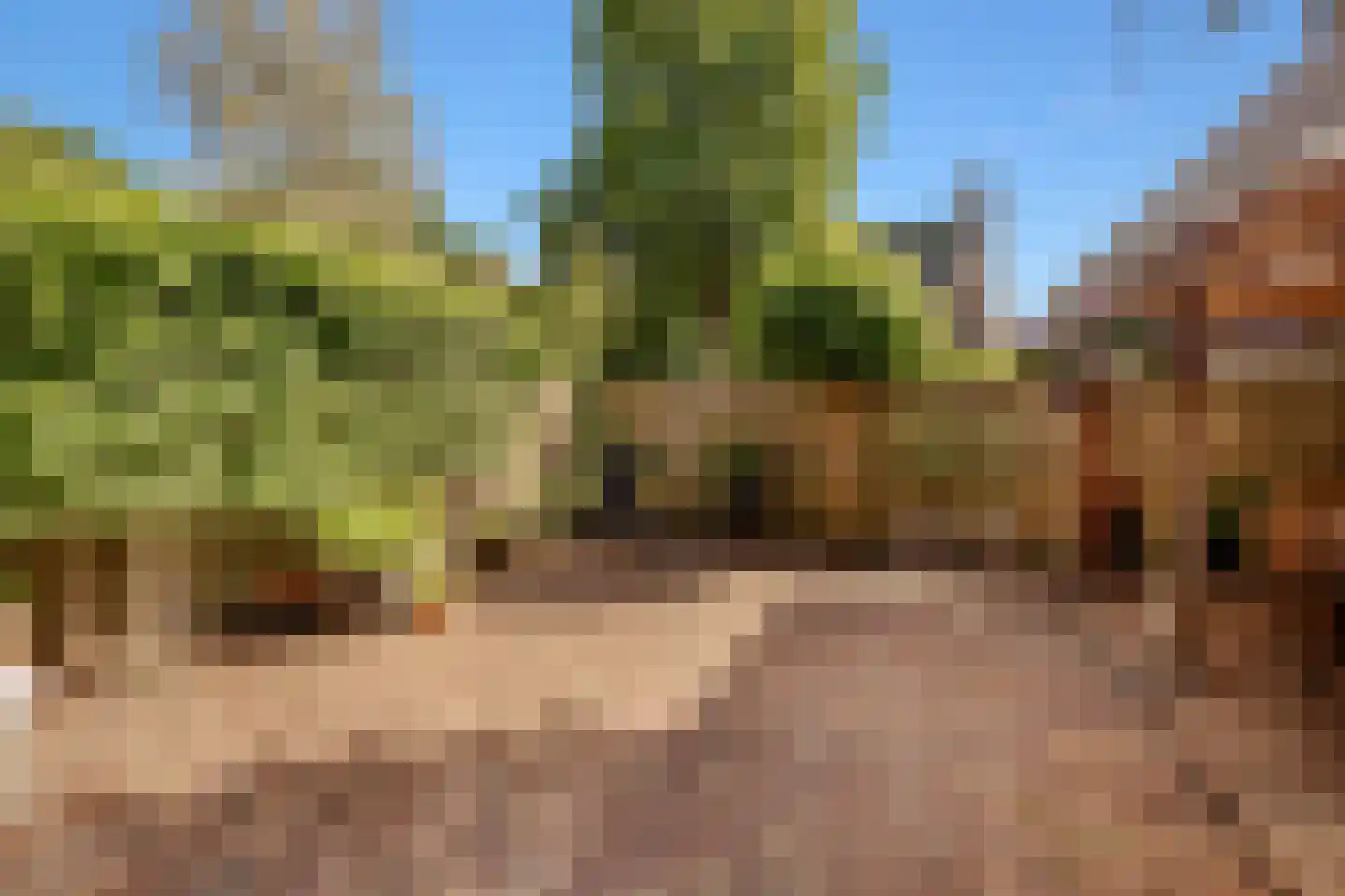 Kogge 7 Blaricum thumbnail 33